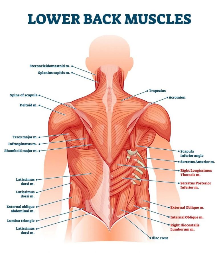 left-back-pain-symptoms-causes-treatment-by-back-braces